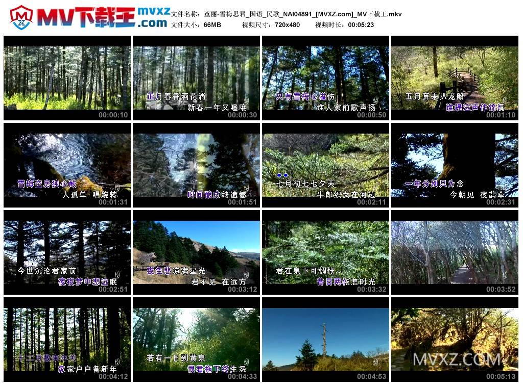 童丽-雪梅思君_国语_民歌_NAI04891